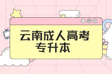 云南專升本