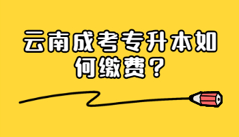 云南成考專升本如何繳費