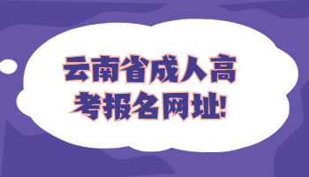 云南省成人高考報(bào)名網(wǎng)