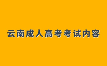 2024年云南成人高考醫(yī)學專業(yè)考試內(nèi)容說明