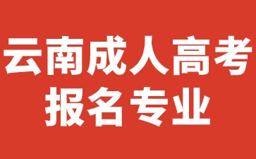2024年云南成人高考報(bào)考專業(yè)推薦有哪些？