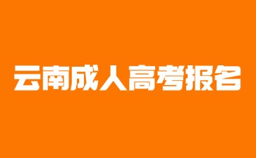 2024年云南成人高考報名專業有哪些？