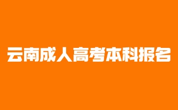 2024年云南成考本科報名要提供哪些材料？