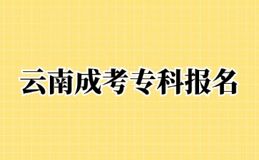 2024年云南成考專科可以報名哪些專業？
