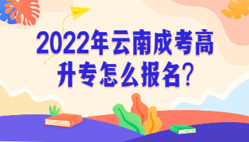 2022年云南成考高升專