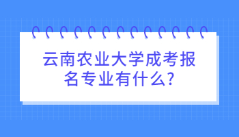 云南農(nóng)業(yè)大學(xué)成考報(bào)名專業(yè)
